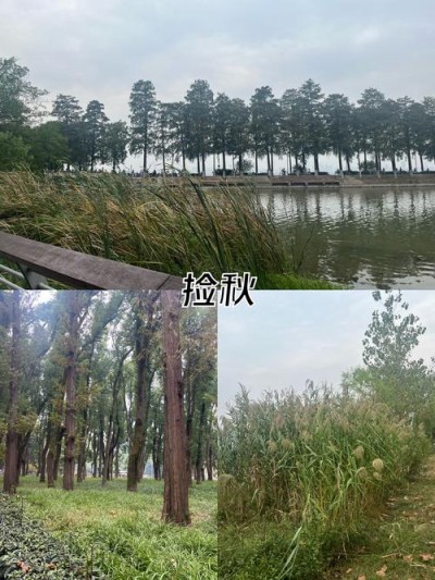 武汉程序员小李忙里偷闲,东湖绿道感受别样悠闲时光