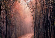 走进小陈武汉品茶经历，探寻平凡上班族的身心放松与事业转折