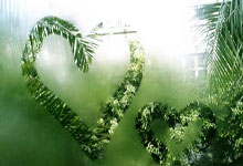 武汉休闲好去处大盘点！东湖绿道与黄鹤楼周边不容错过