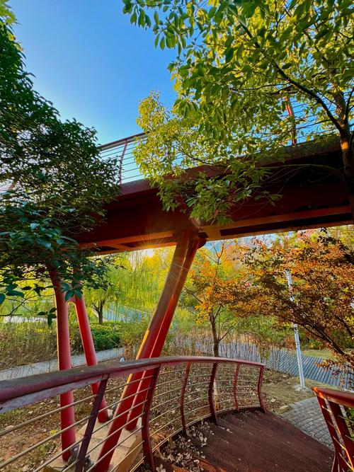 在武汉如何找到适合自己的休闲方式？小陈的探索与思索