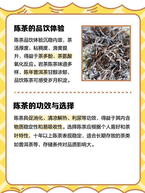 武汉品茶什么价格_武汉品茶600左右的价位_武汉品茶价格查询