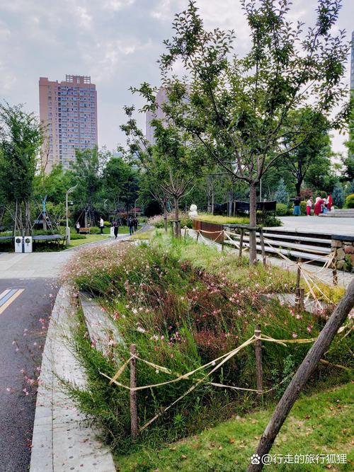 武汉休闲哪里好？周末放松指南：从躺尸到换脑子的蜕变