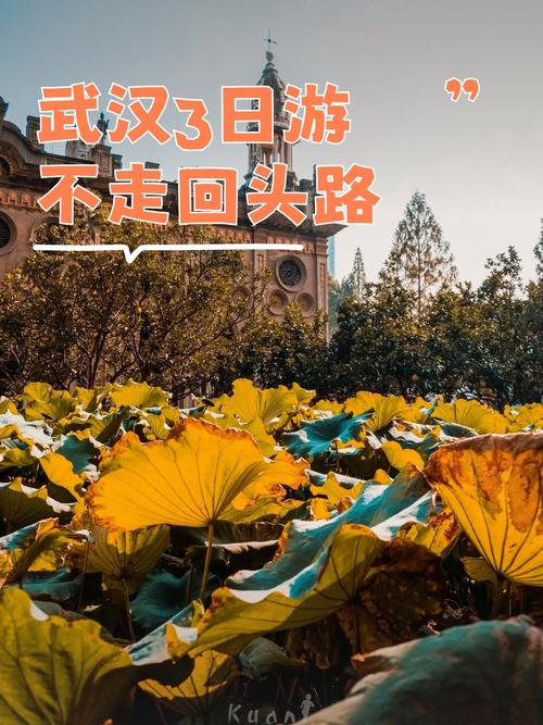 武汉夜网哪里好？避开高消费和喧嚣，这才是真正的放松去处