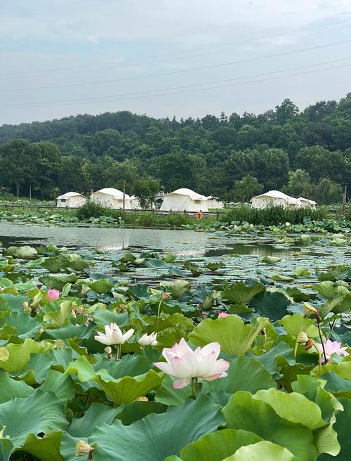 武汉休闲生活真能让人喘口气？朋友逃离百万年薪来这，结果…