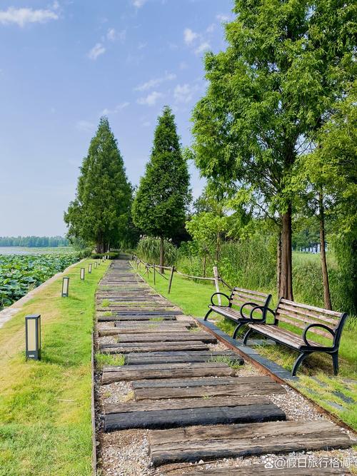 在武汉工作太累？东湖绿道这些地方让你像老陈一样找回周末