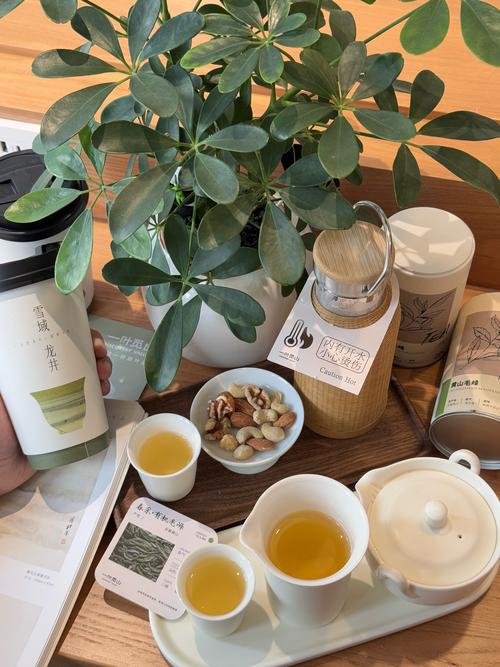 好效果武汉品茶怎么样_武汉品茶效果好不好_武汉品茶是什么意思