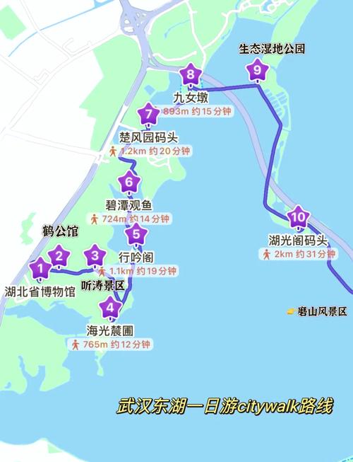 武汉周末去哪放松？东湖知音号小众休闲指南