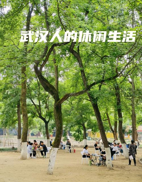 武汉休闲sz_武汉休闲怎么样_武汉休闲体验